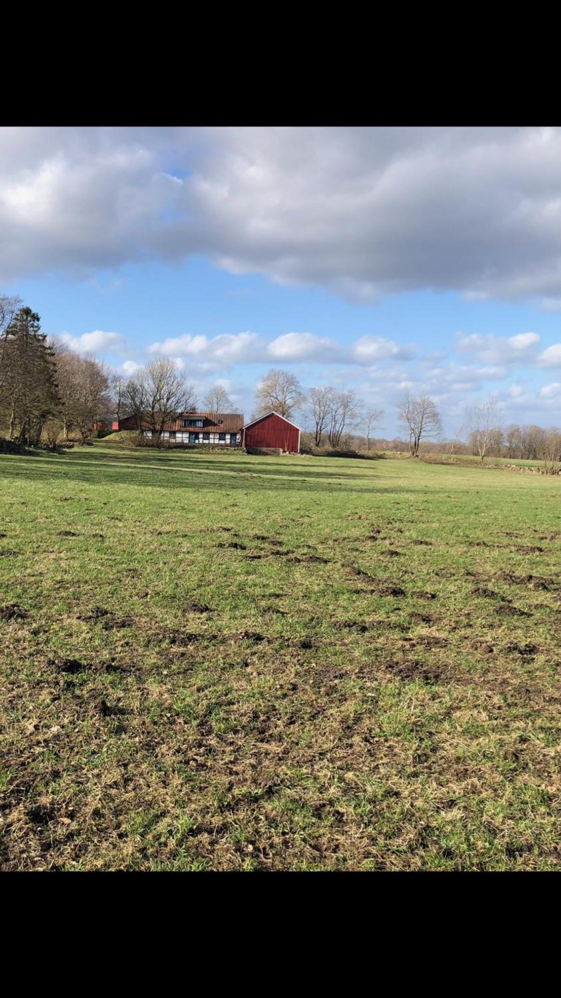 Torpet Villa Tollarp Eksteriør bilde
